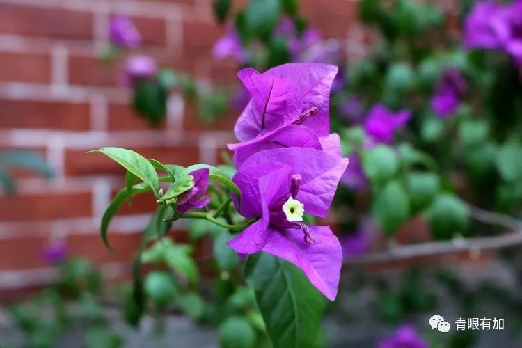 上海黄河路132弄,上海山阴路132弄图片