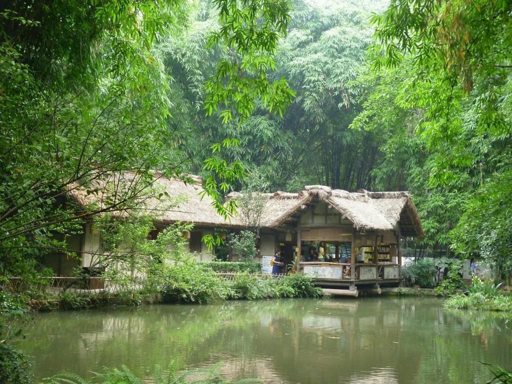 成都最值得游玩的7个景点,四川成都有什么旅游景点推荐一下