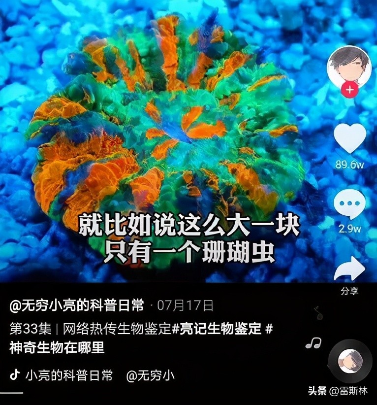 水猴子警告,小亮日常科普水猴子