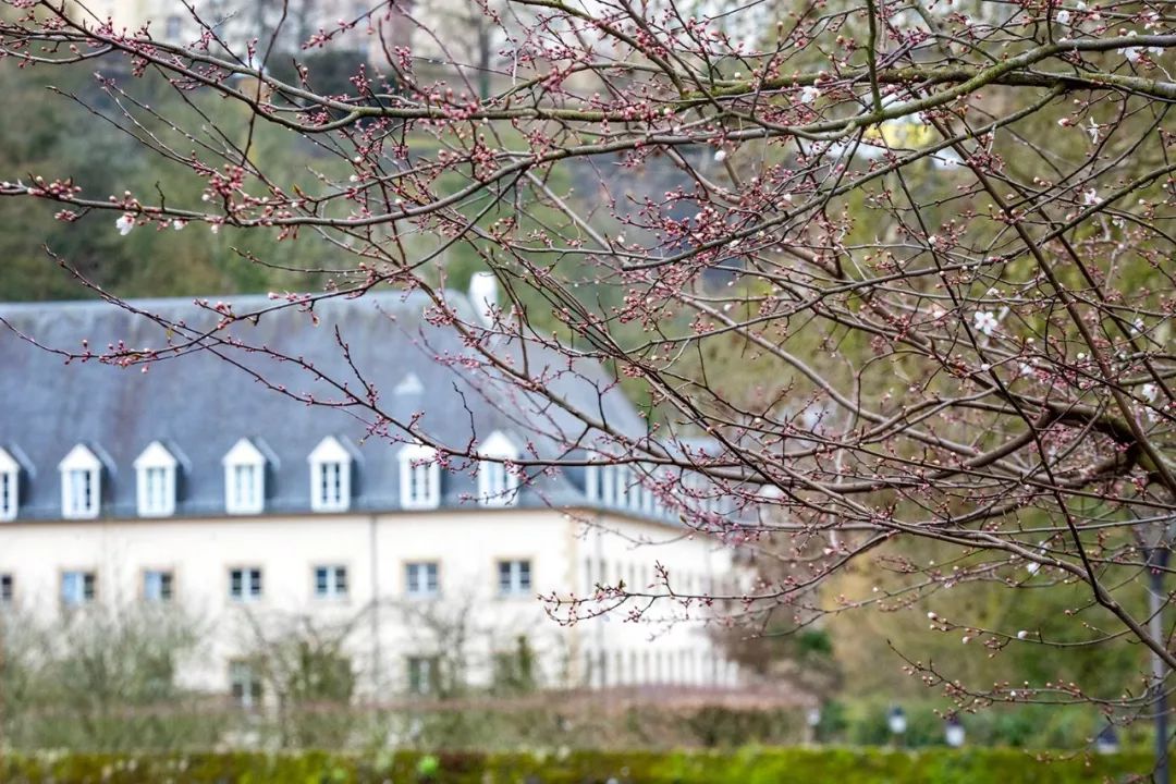 卢森堡是谁的属国,卢森堡是谁呀