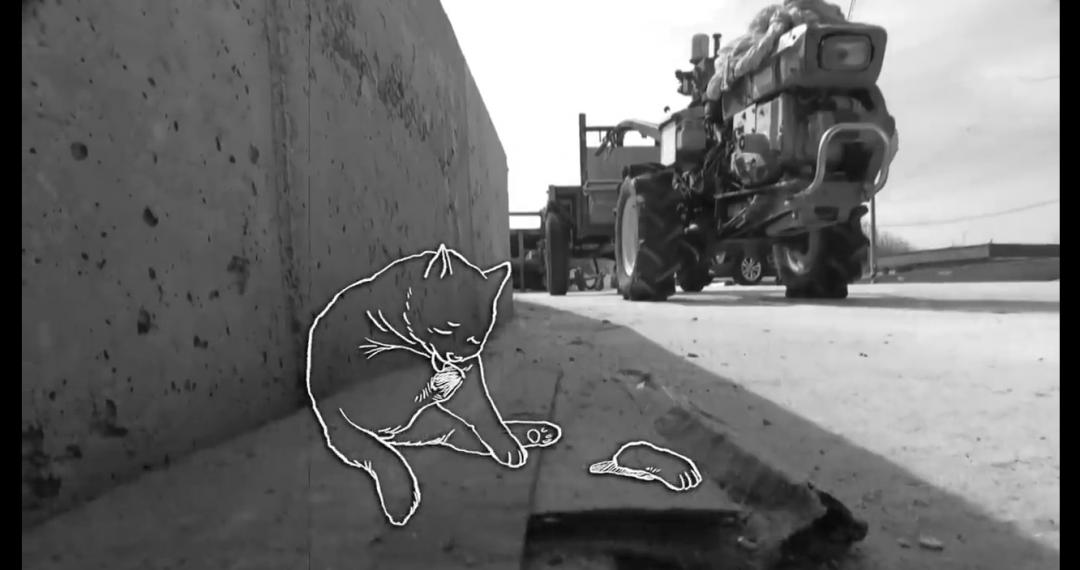 猫咪被老鼠夹住脚后肿了,猫咪被老鼠夹住前爪怎么办