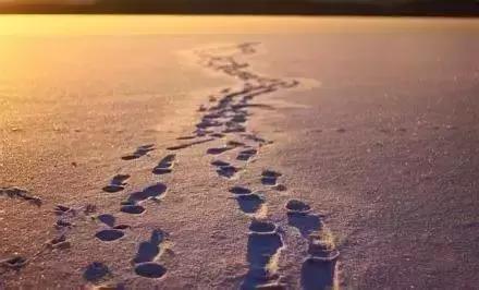 商不畏险，定会富甲一方！,深度好文）