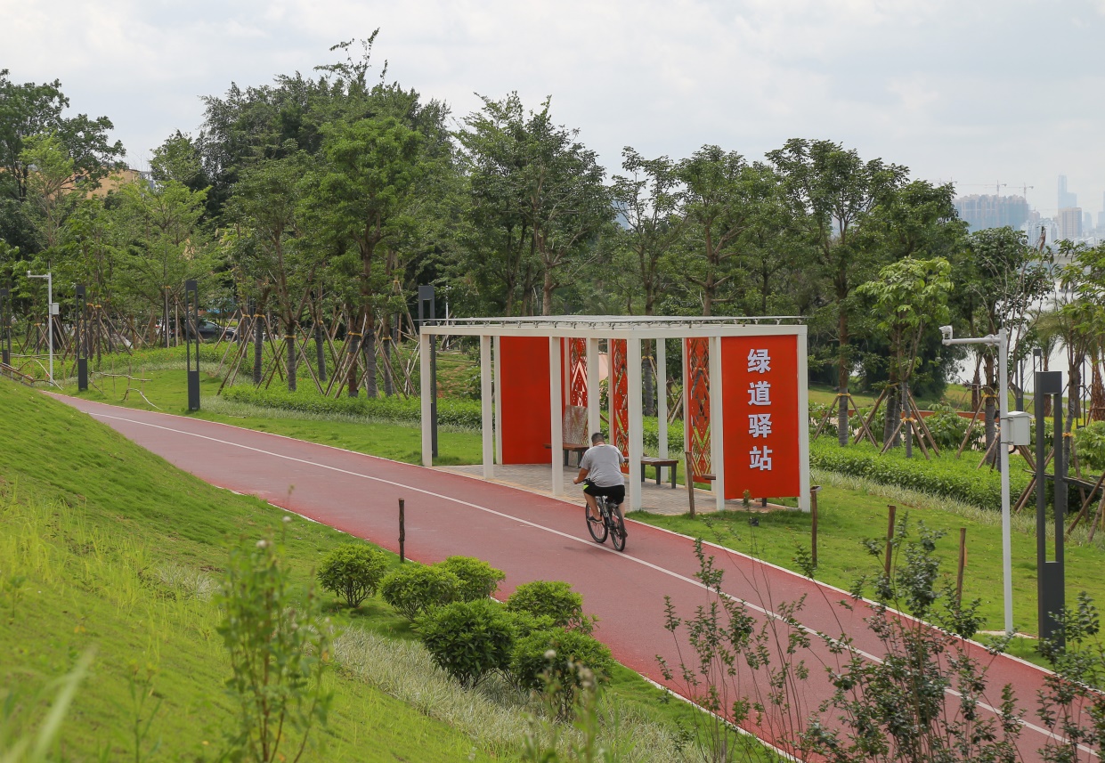 在南宁适合一个人去的地方,在南宁一个人适合去哪里散心