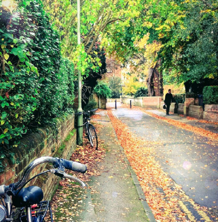 秋天里的慵懒温柔风穿搭,秋天如何找到适合自己的风格穿搭