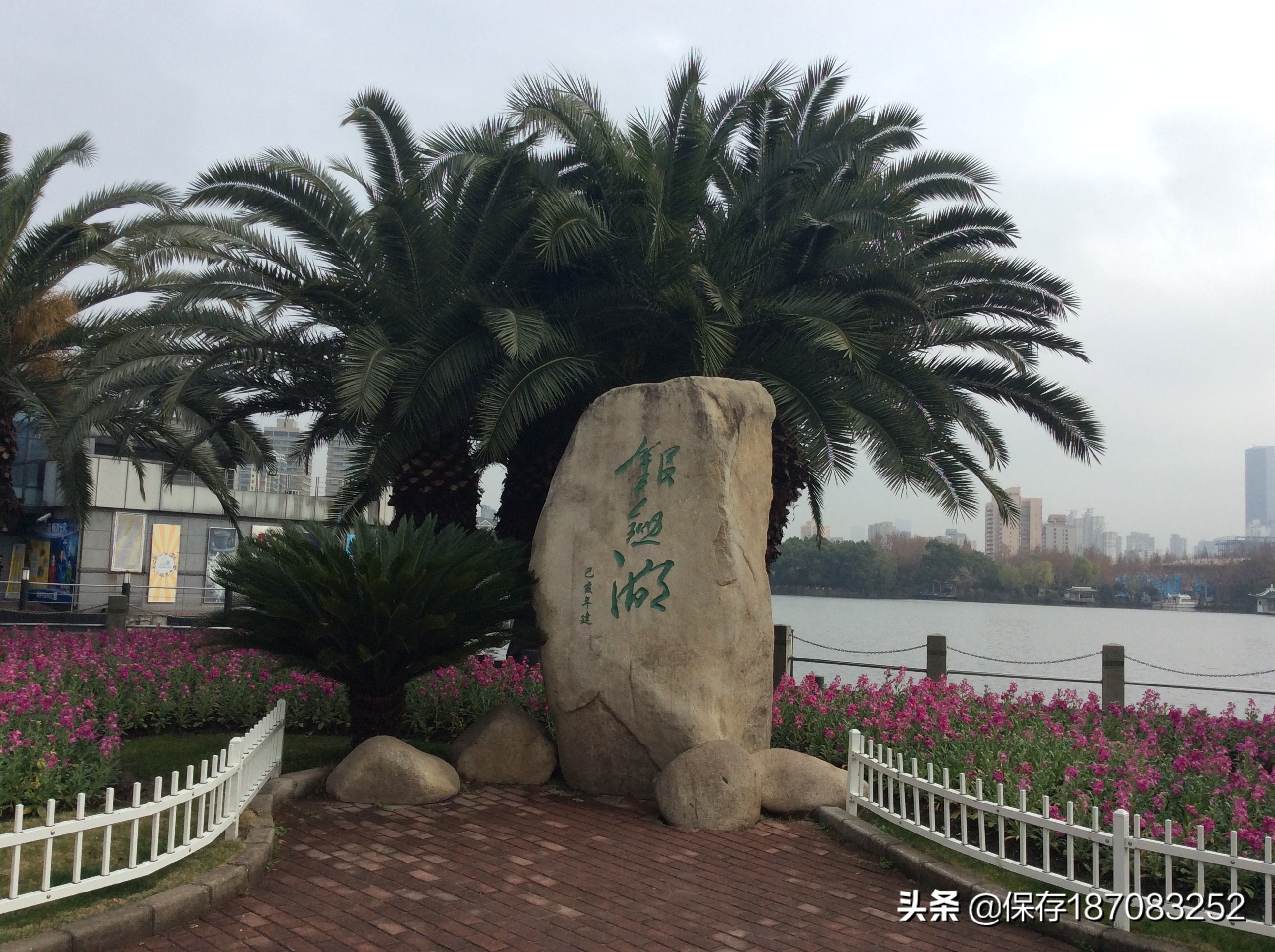 上海普陀山公园,普陀区长风公园在哪