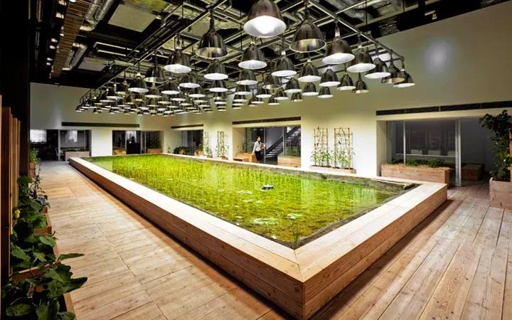 深圳市有梦想城市,深圳有梦想的城市