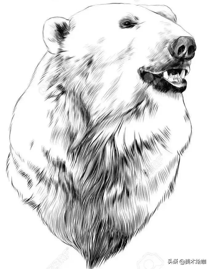 6-12岁儿童素描课程画动物,素描动物教程简单8-12岁