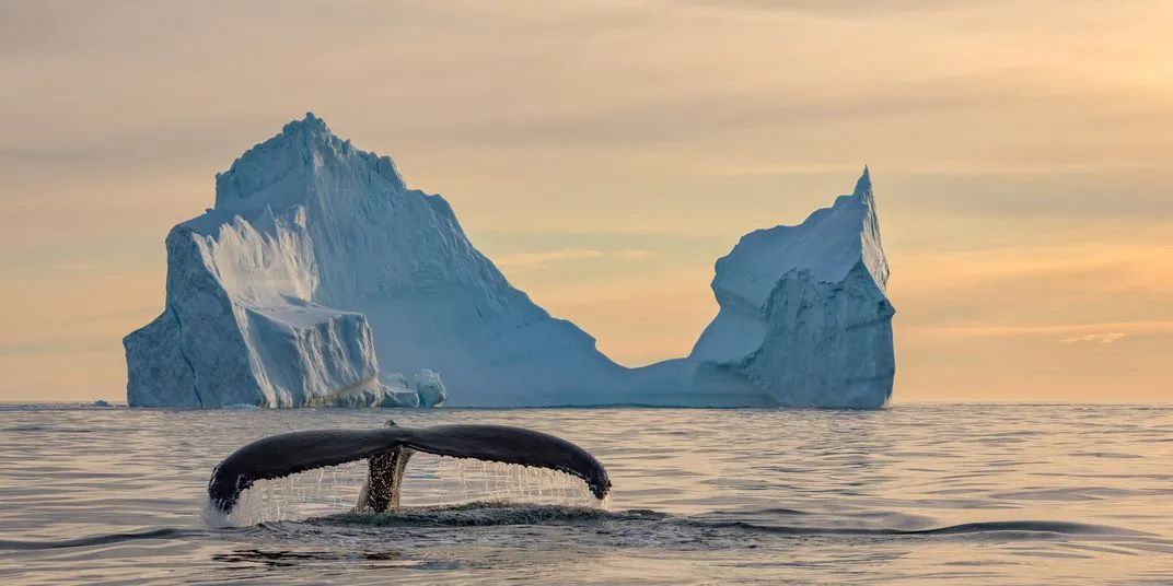 世界优秀获奖摄影作品,摄影大赛获奖作品欣赏