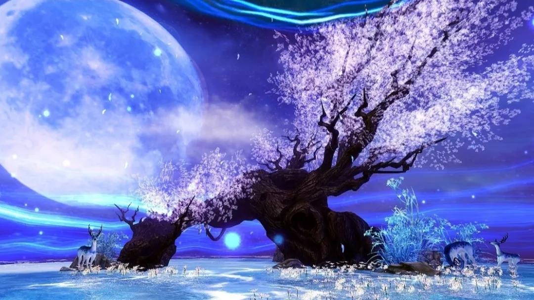 双春闰二月有什么禁忌,闰四月和四月有什么不一样