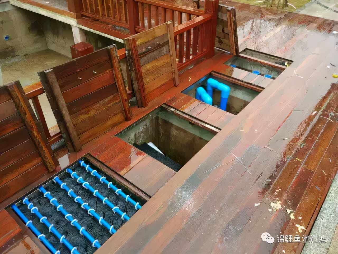 养锦鲤用过滤桶过滤系统,锦鲤鱼池沼泽过滤与生物过滤