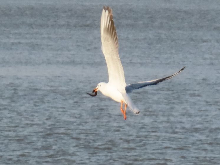 12倍光学变焦数码相机拍摄效果,10倍光学变焦相机拍照片