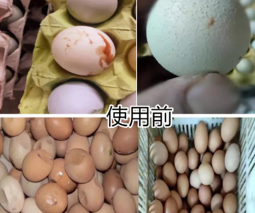 鸡蛋壳很硬的鸡蛋好不好,蛋壳特别薄脆的鸡蛋好不好