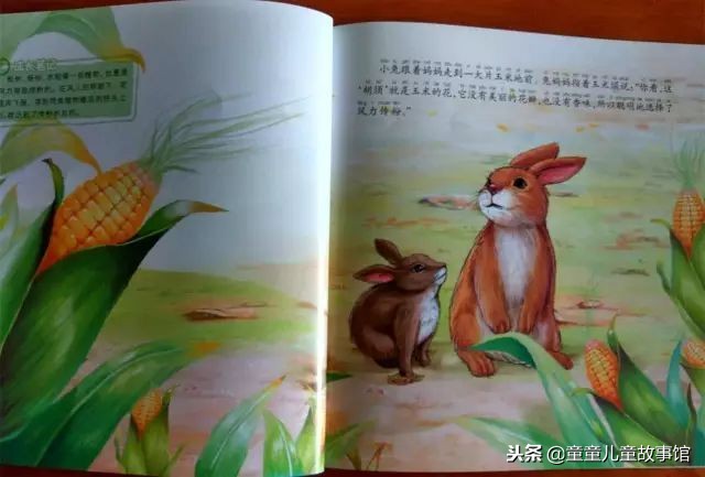 花儿的媒人绘本故事,儿童绘本故事春天的故事