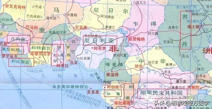 埃博拉病毒肆虐期,埃博拉肆虐西非