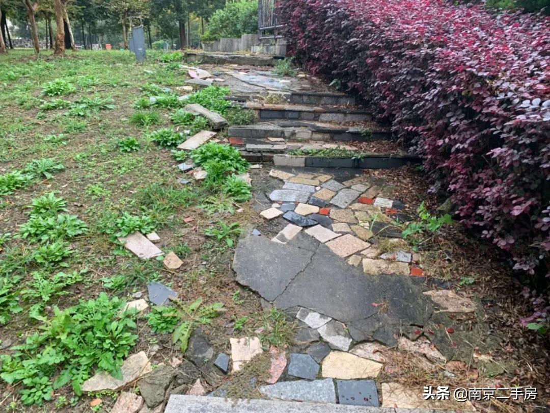 高端小区房价虚高能买吗,房价低又宜居的房子你敢相信吗