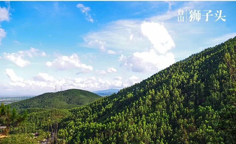 7月7日山间一潭水,悠游无夏日,狮子头莲花坑溯溪游泳开炉腐败