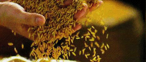 中国用了占世界多少的耕地,我国用占世界百分之几的耕地