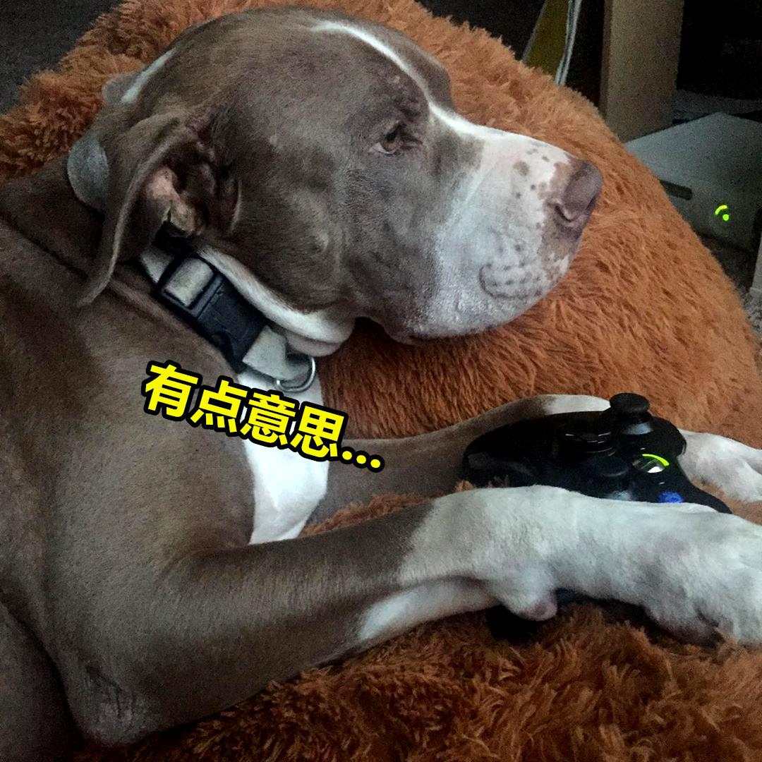 minecraft第一种鸟类,minecraft里的狗怎么才能有