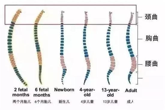 新生儿哪种定型枕比较实用,适合新生儿的定型枕