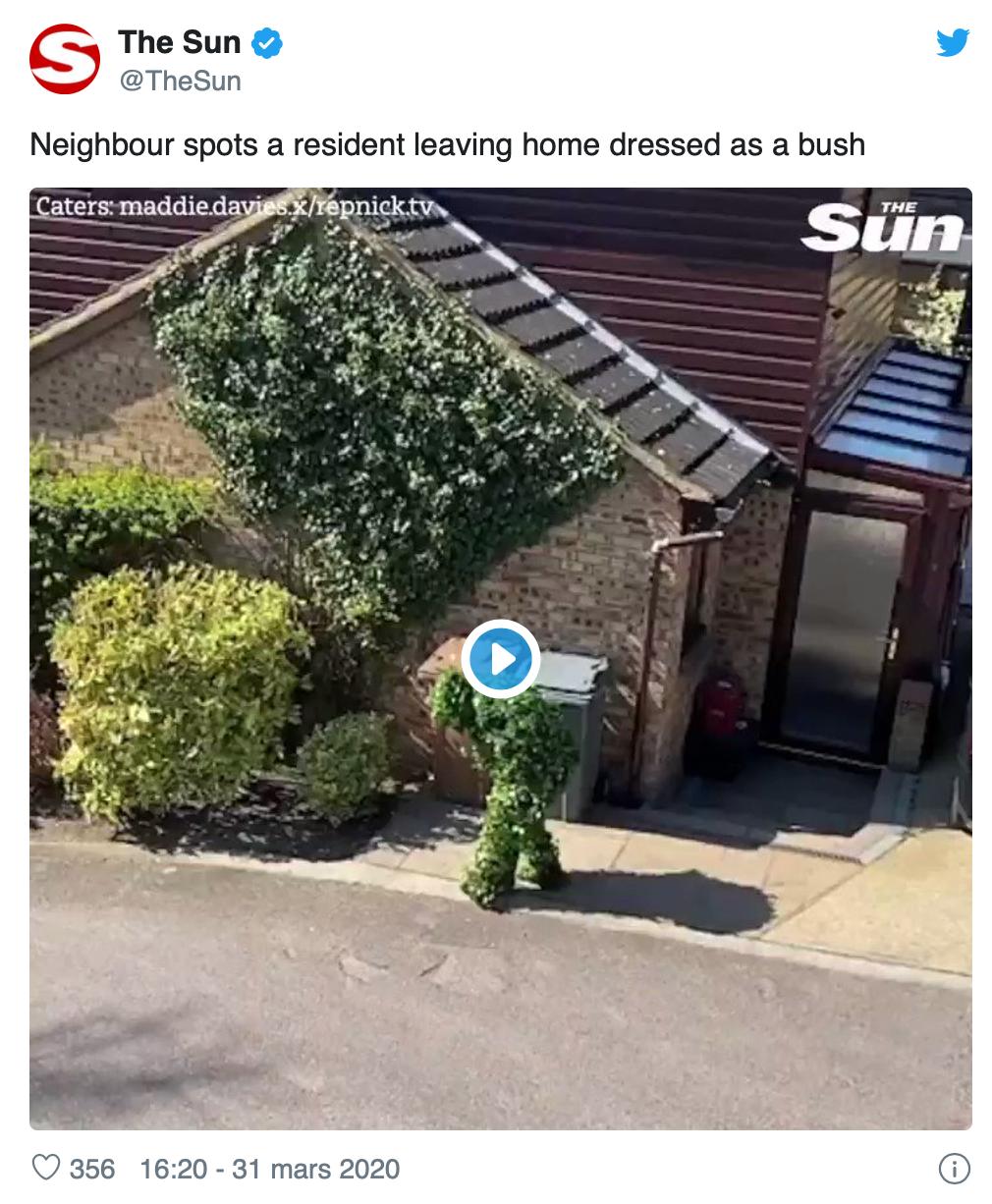 国外疫情封城禁足，想出门想疯了的人们脑洞大开！