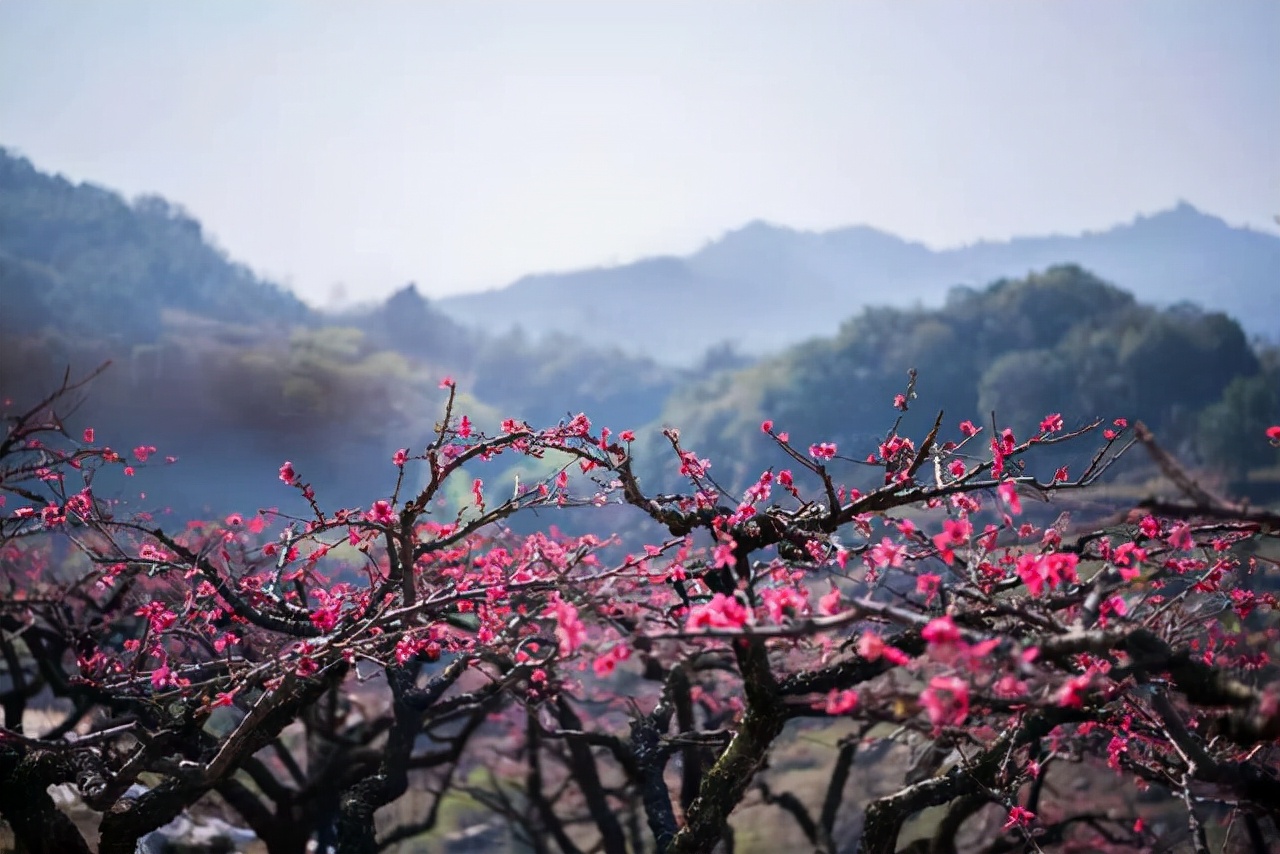 老一辈的人为什么那么容易结婚,算命说异性缘好代表什么