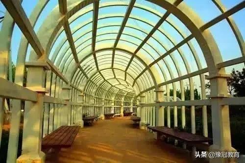 郑新黄河大桥2021年收费政策 (郑新黄河大桥2020年收费政策)