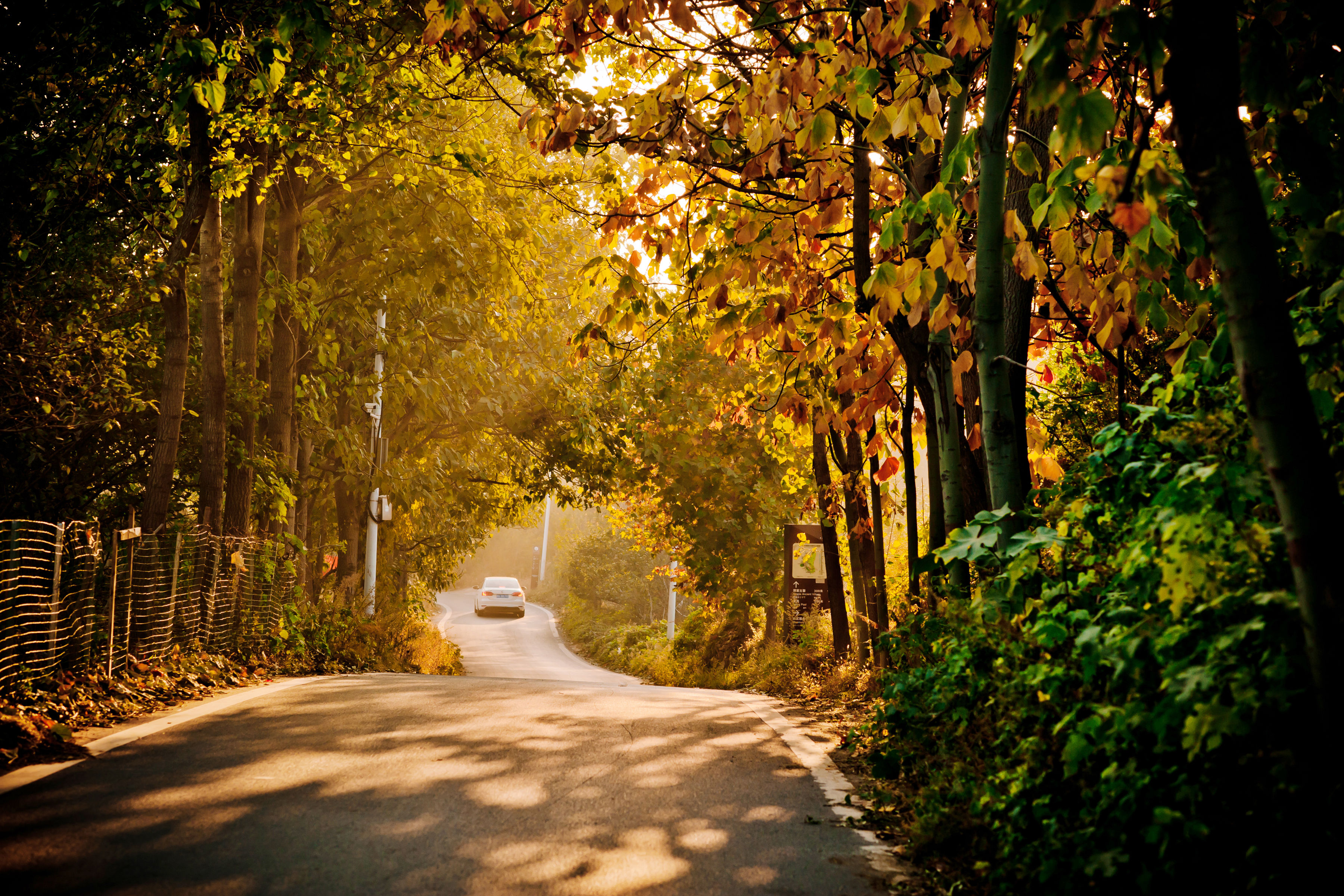 国庆假期如约至樱桃沟景区你到底盘不盘？