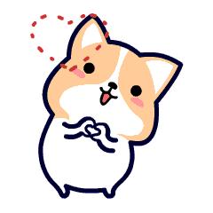 三甲医院里面的国医馆,小型医院国医馆