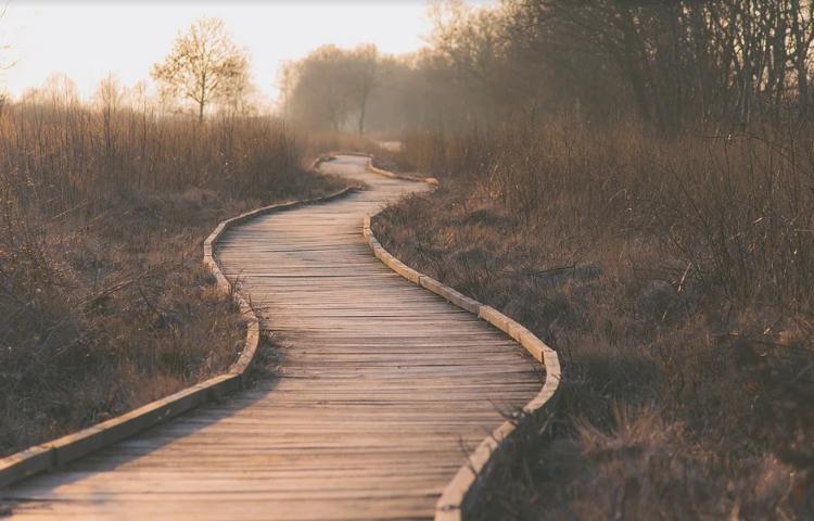 抑郁症患者心理治疗有效吗,抑郁症的人如何心理疏导