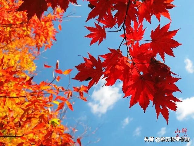 本溪赏枫攻略,本溪赏枫景区