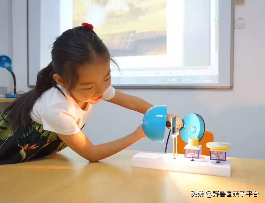 stem教育创始人,stem美国大学