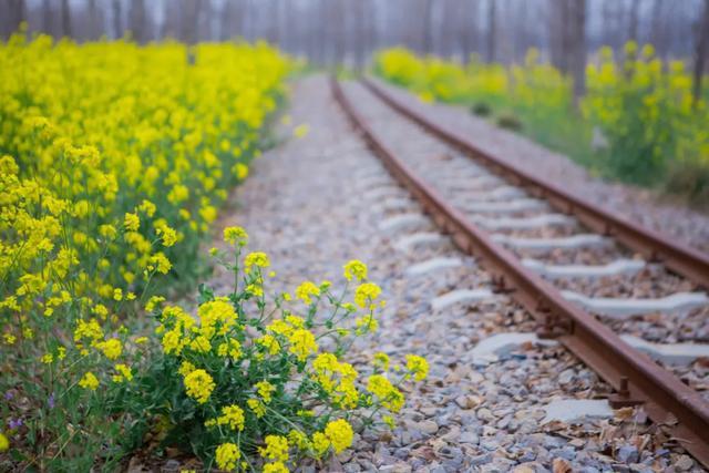 五月拍照适合什么主题,6月适合的拍摄主题