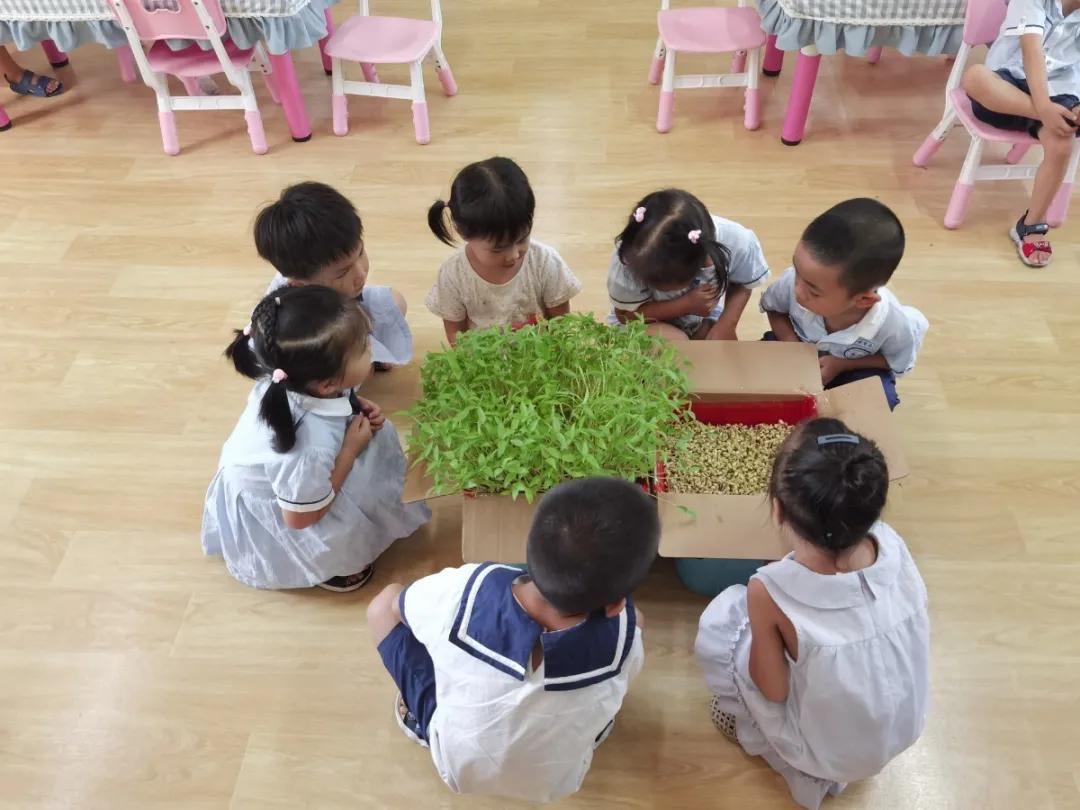 陈怡君幼儿园,陈怡君海口