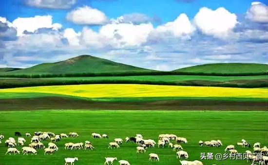 全国各地特产一览表,中国各地特产一览表