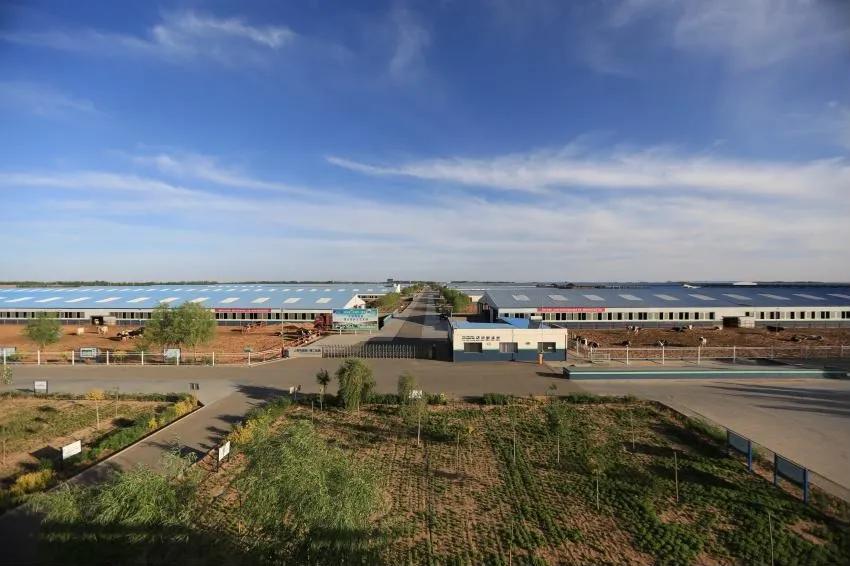 涓浗鍦ｇ墽鍙戝睍瓒嬪娍濡備綍,鍦ｇ墽甯傚満鍓嶆櫙濡備綍