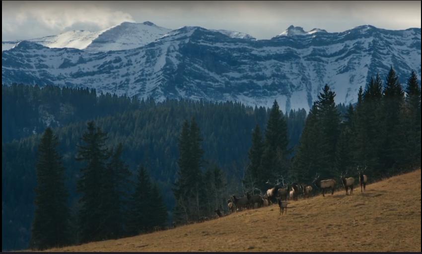 苍天啊大地啊是刘欢的哪首歌曲,苍天啊大地啊是哪个小品
