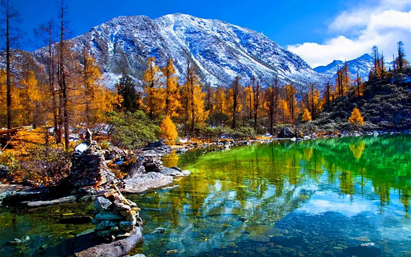 1011月错过它们,等于错过整个秋天!人少清净,随手一拍都是大片