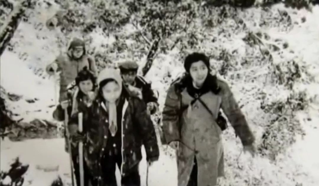 86版西游记吐槽,86版西游记大量吐槽