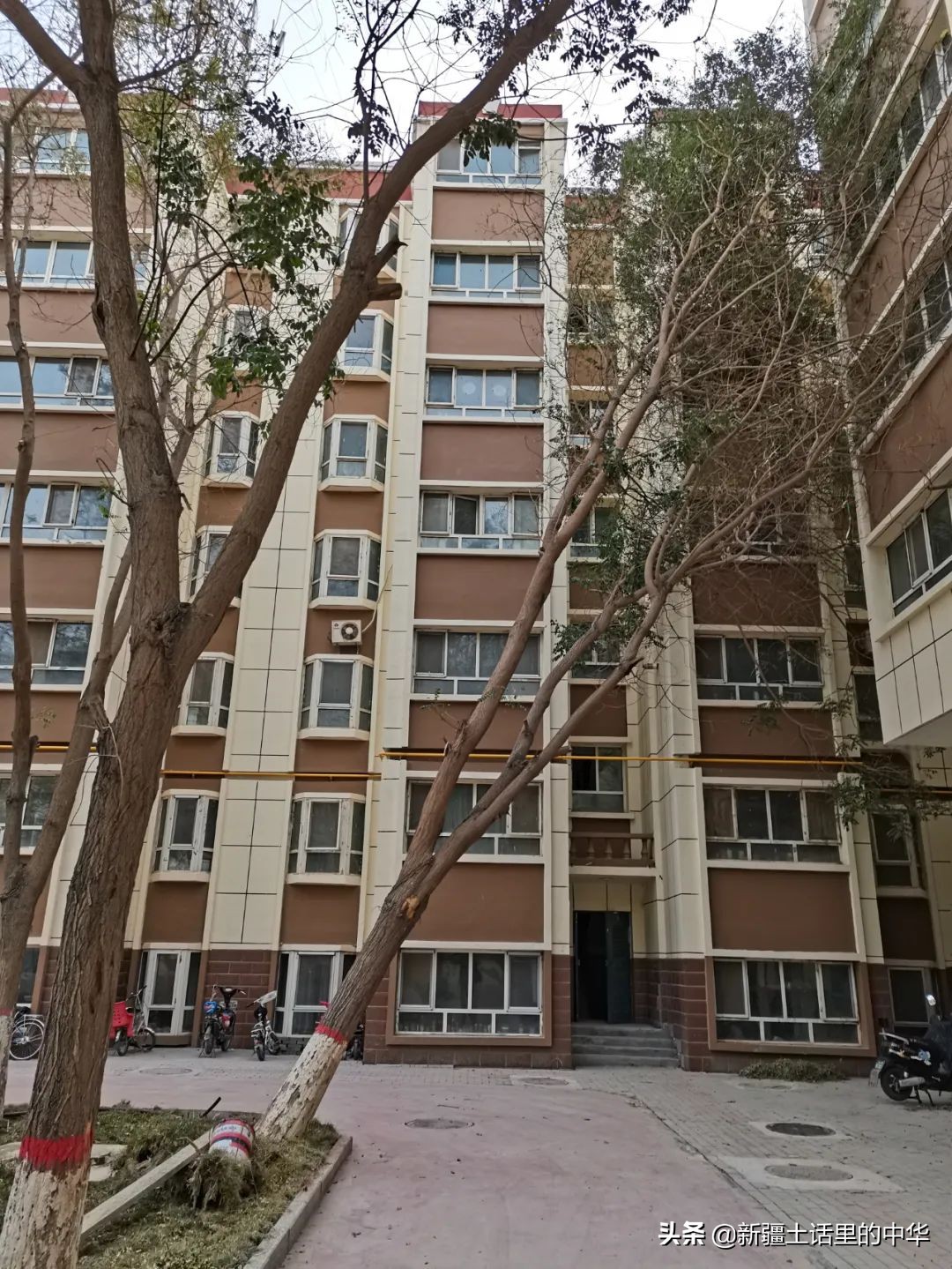 害冷在医学上叫什么,害冷的意思