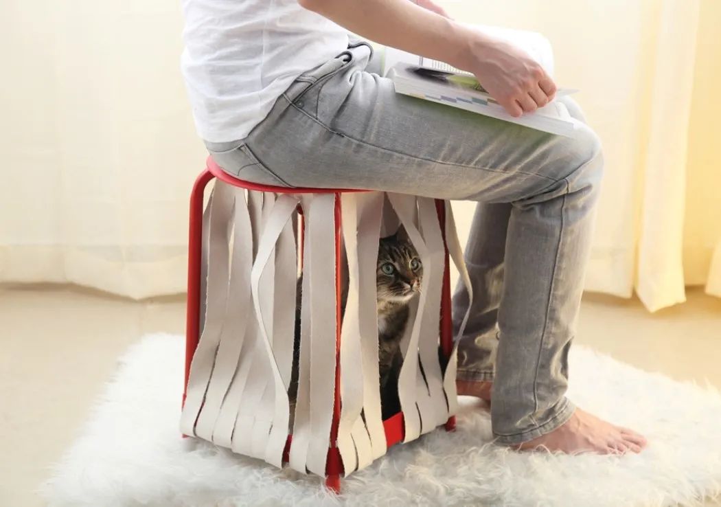 未来5年宠物智能产品,宠物产品logo设计