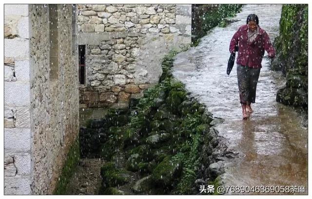 伟大母爱让人泪奔,母爱是伟大的可是现实是残酷的