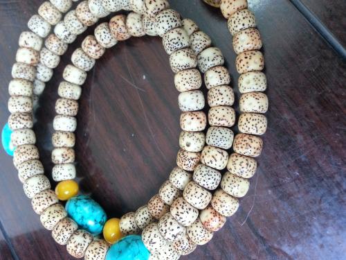 星月菩提的秘密视频,揭秘菩提子真假