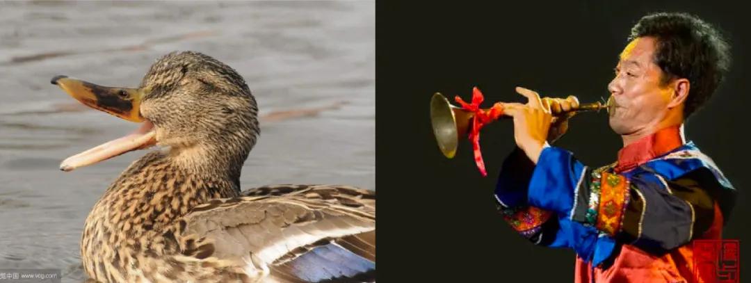 logo拟人化,拟人化商标设计logo