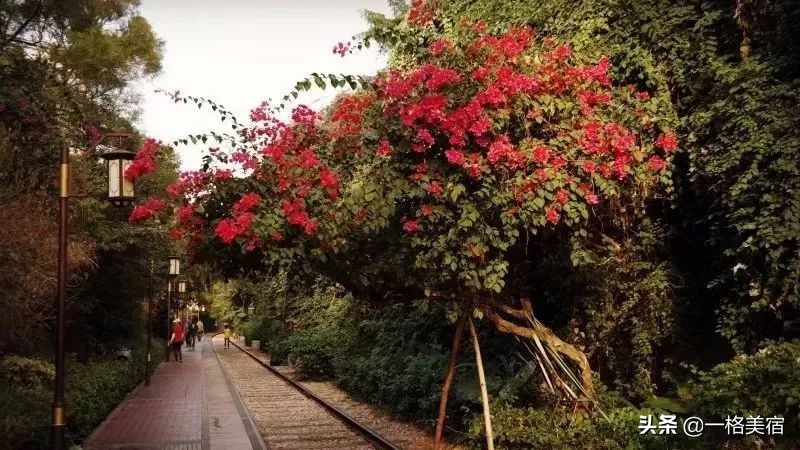 厦门五日游必去十大景点有哪些,厦门一日游必去的五个景点