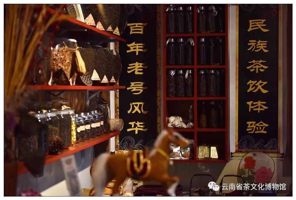 昆明动物博物馆免费开放时间,昆明博物馆和云南博物馆哪个好