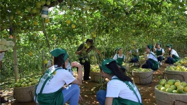 一亩园顶十亩田的顺口溜,人常说1亩三分地是什么意思