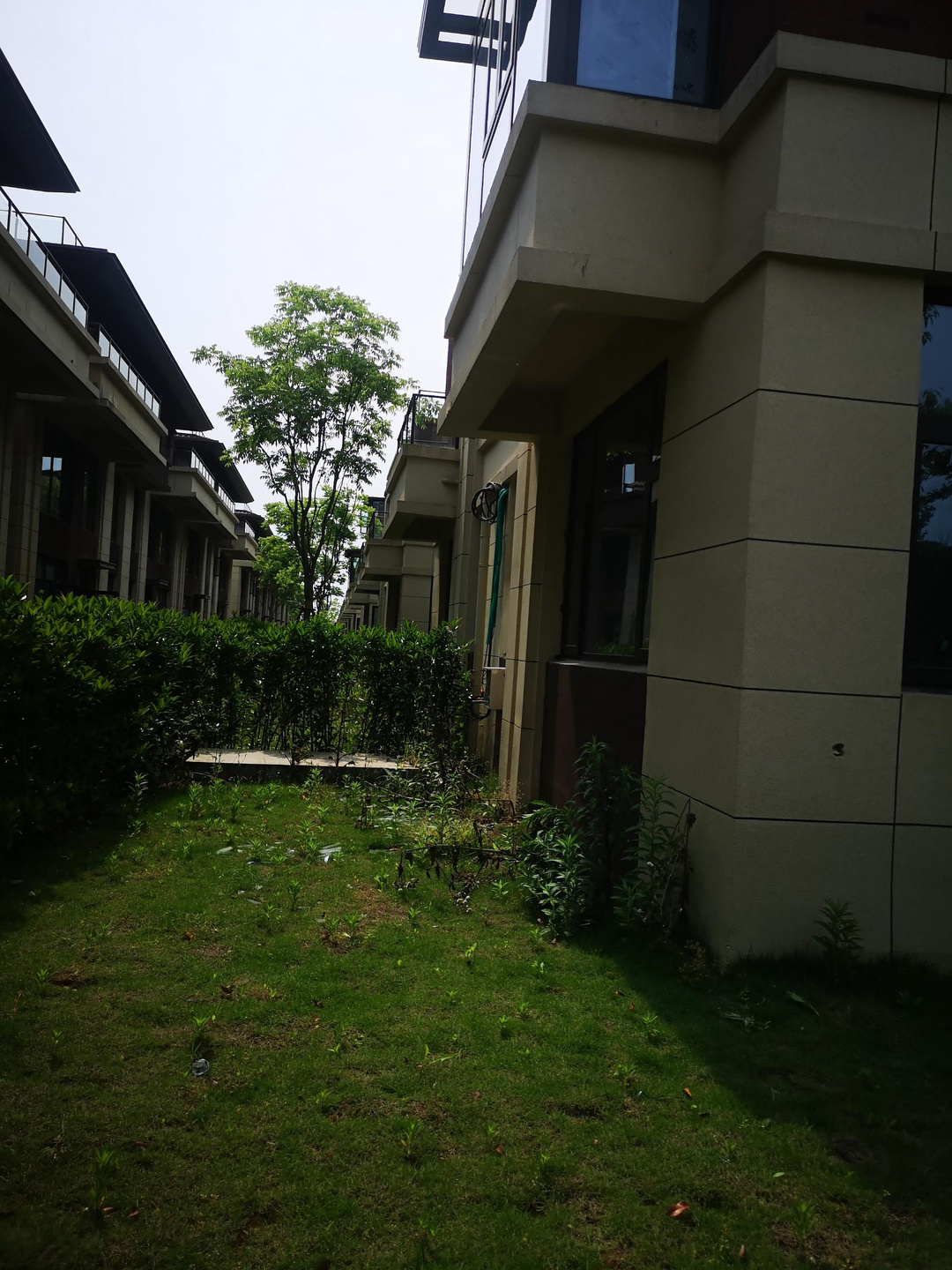 姝︽眽鏂板煄鑾叉箹閿﹀煄,鑾叉箹閿﹀煄125骞宠淇晥鏋滃浘