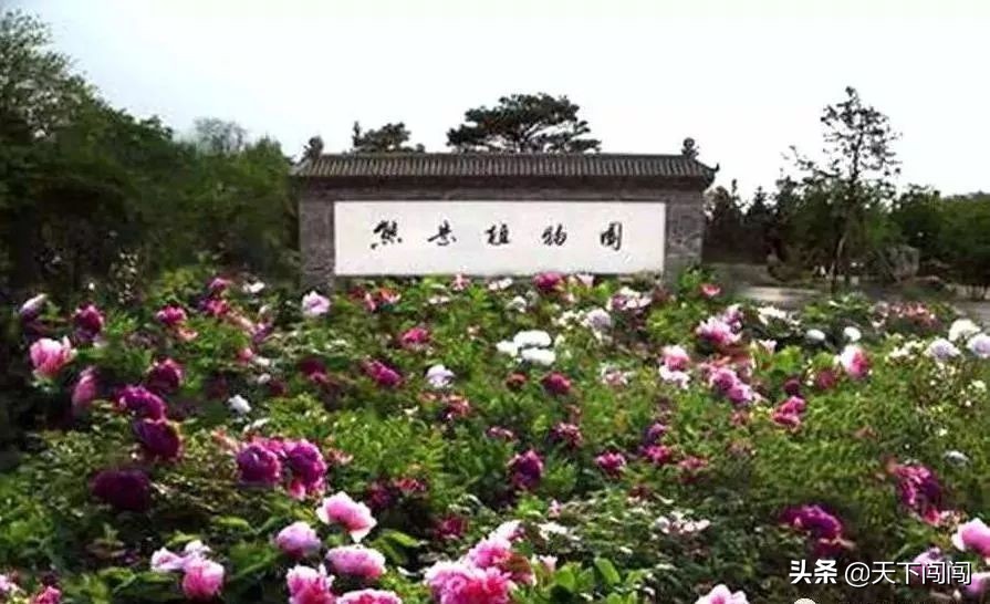 鲅鱼圈最强景点游玩攻略,鲅鱼圈旅游游玩攻略