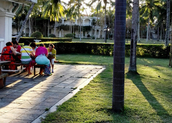 我的海南之旅作文,从海口到三亚感受海南的无限魅力