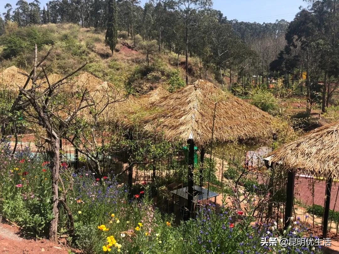 昆明周边亲子游乐场,昆明大型亲子乐园